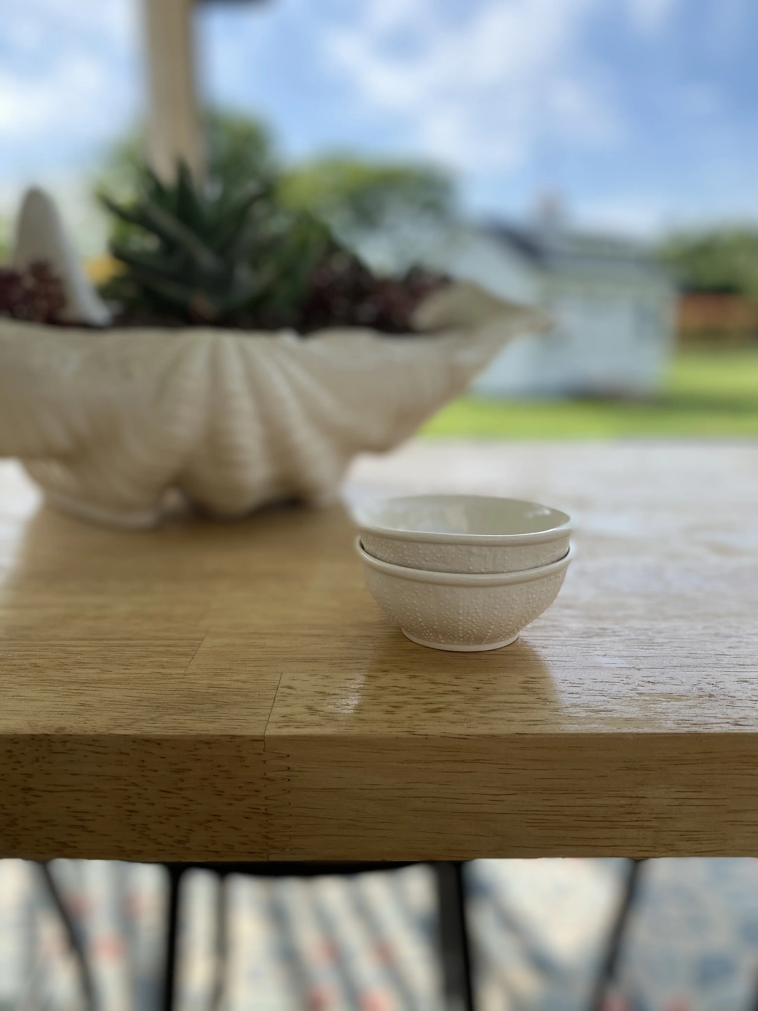 Porcelain Sea Urchin Bowls (4oz) - Set of 2