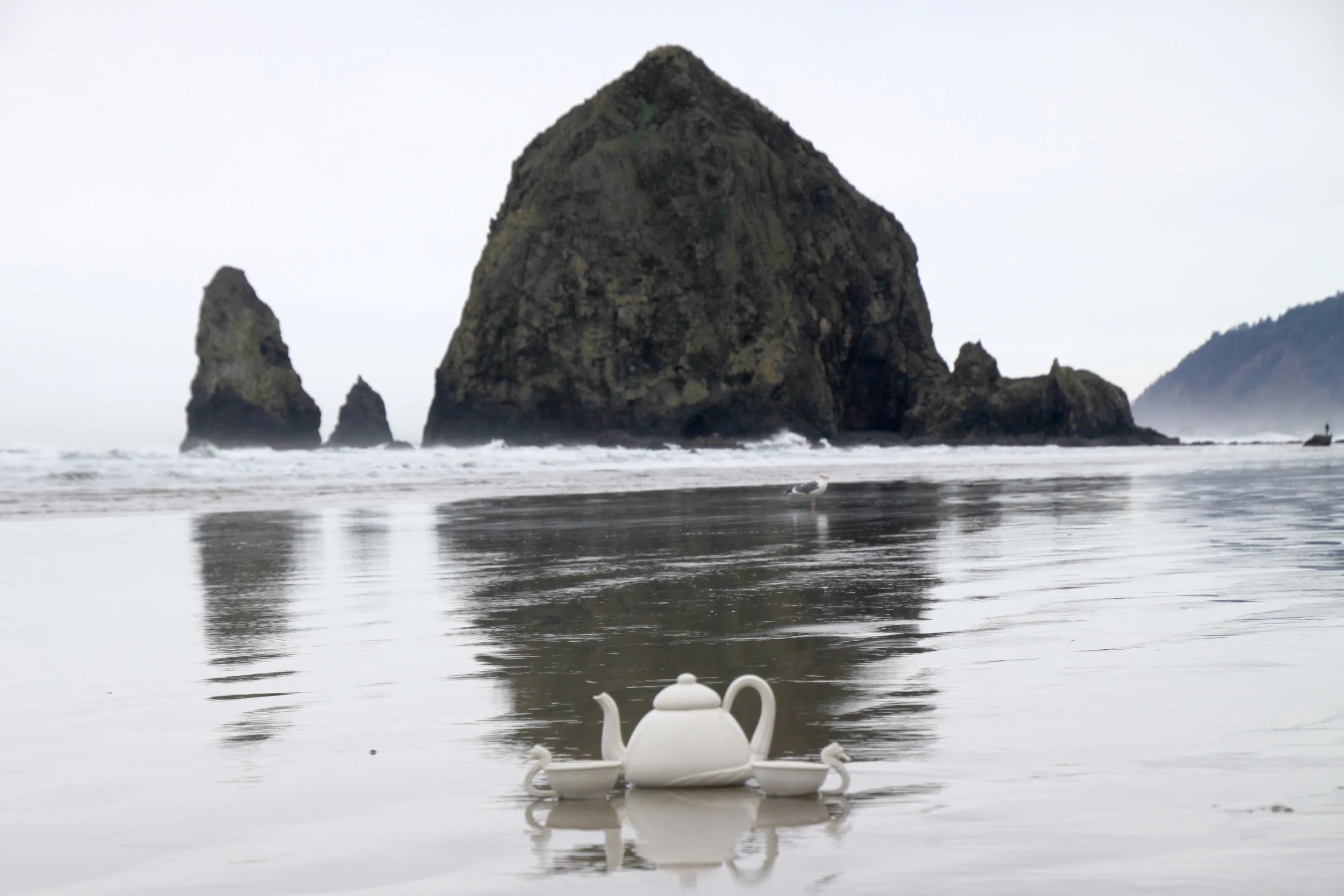 Porcelain Teacup - Sea Urchin & Seahorse photo 5