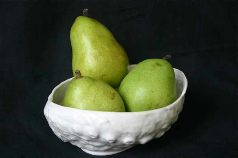Abalone Shell Porcelain Bowl photo 4