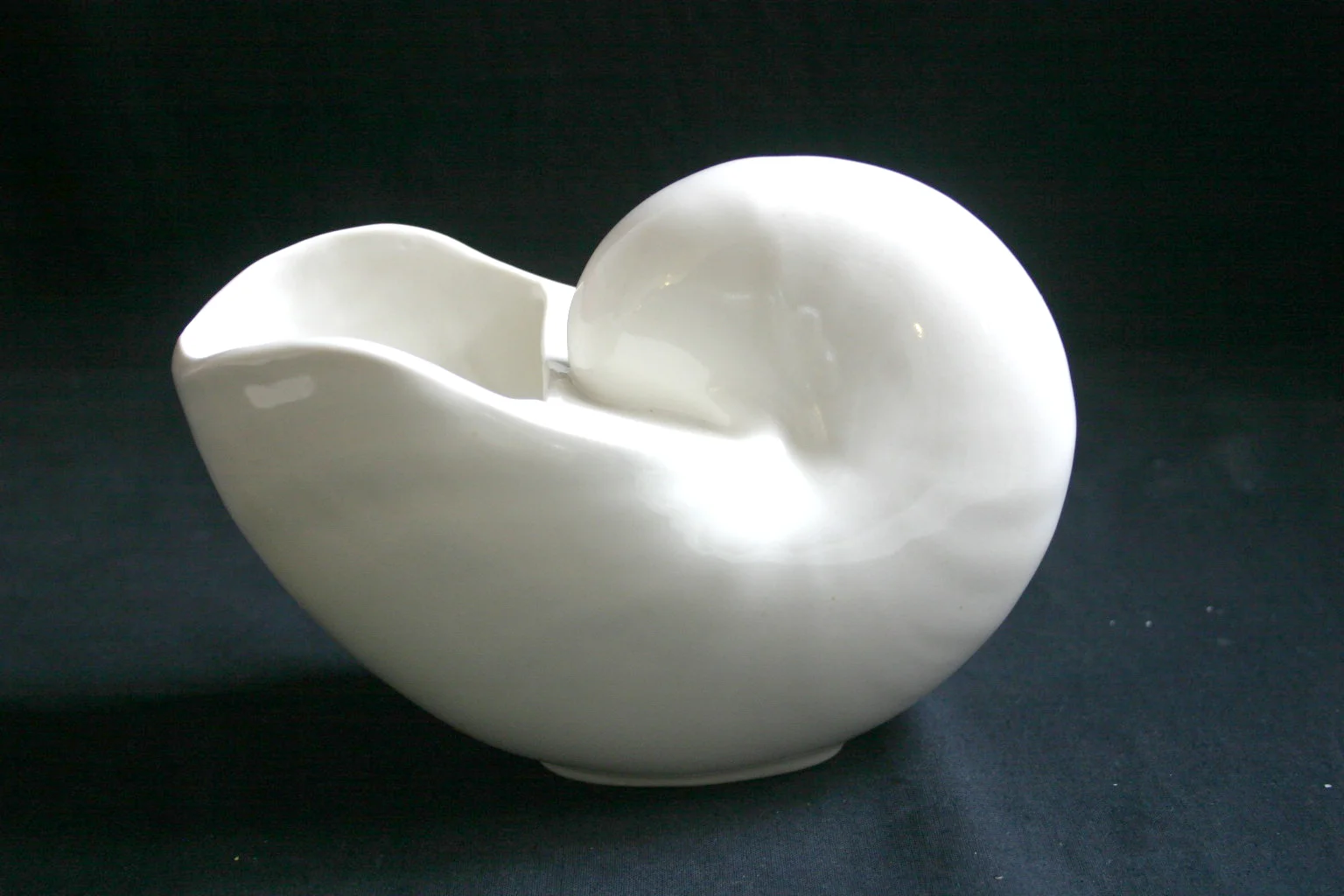 Spiral Nautilus Shell Porcelain Vase