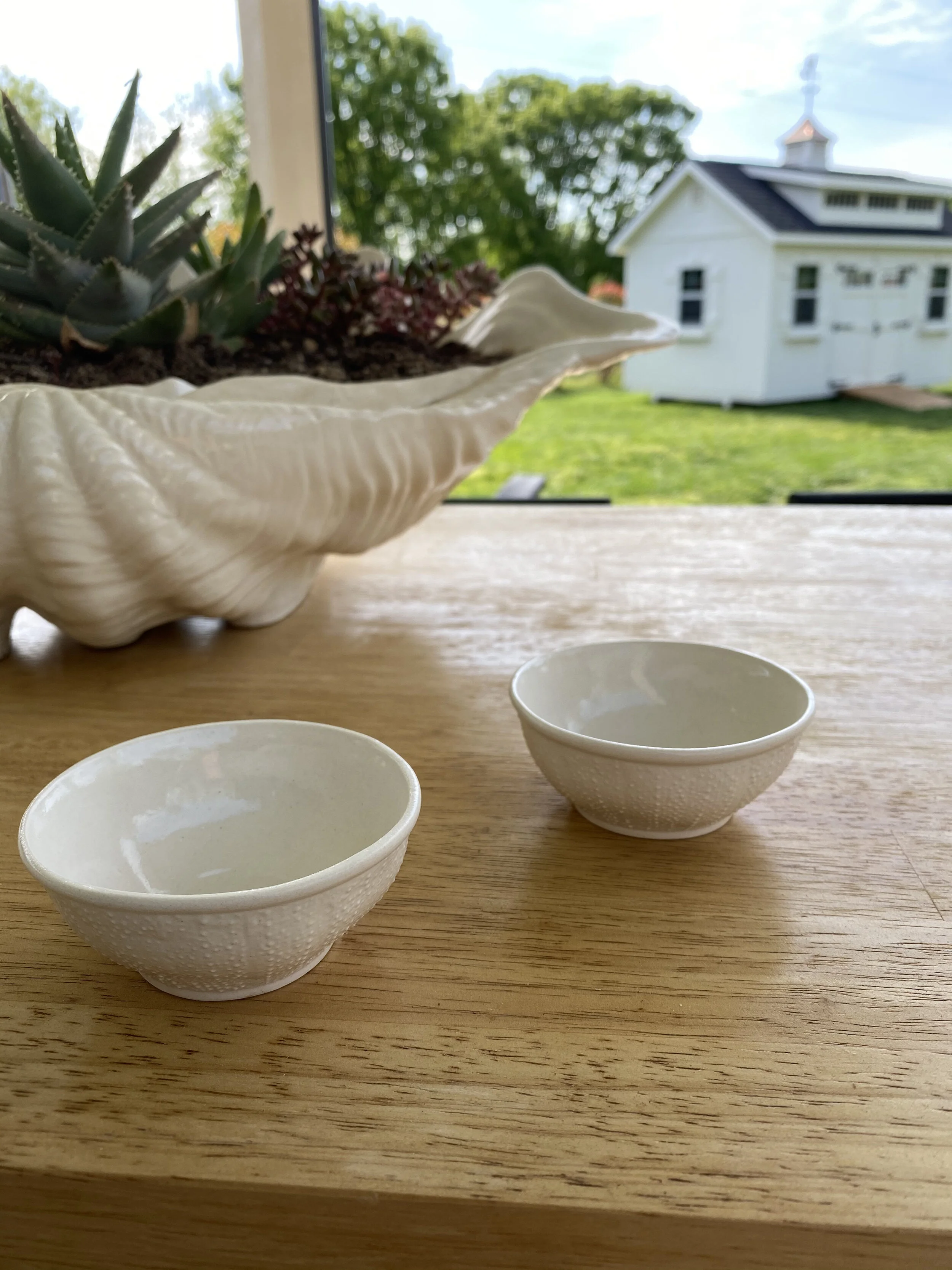 Porcelain Sea Urchin Bowls (4oz) - Set of 2 photo 4