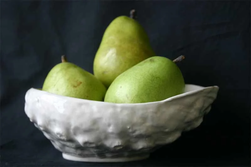 Abalone Shell Porcelain Bowl