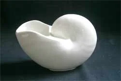 Spiral Nautilus Shell Porcelain Vase photo 2