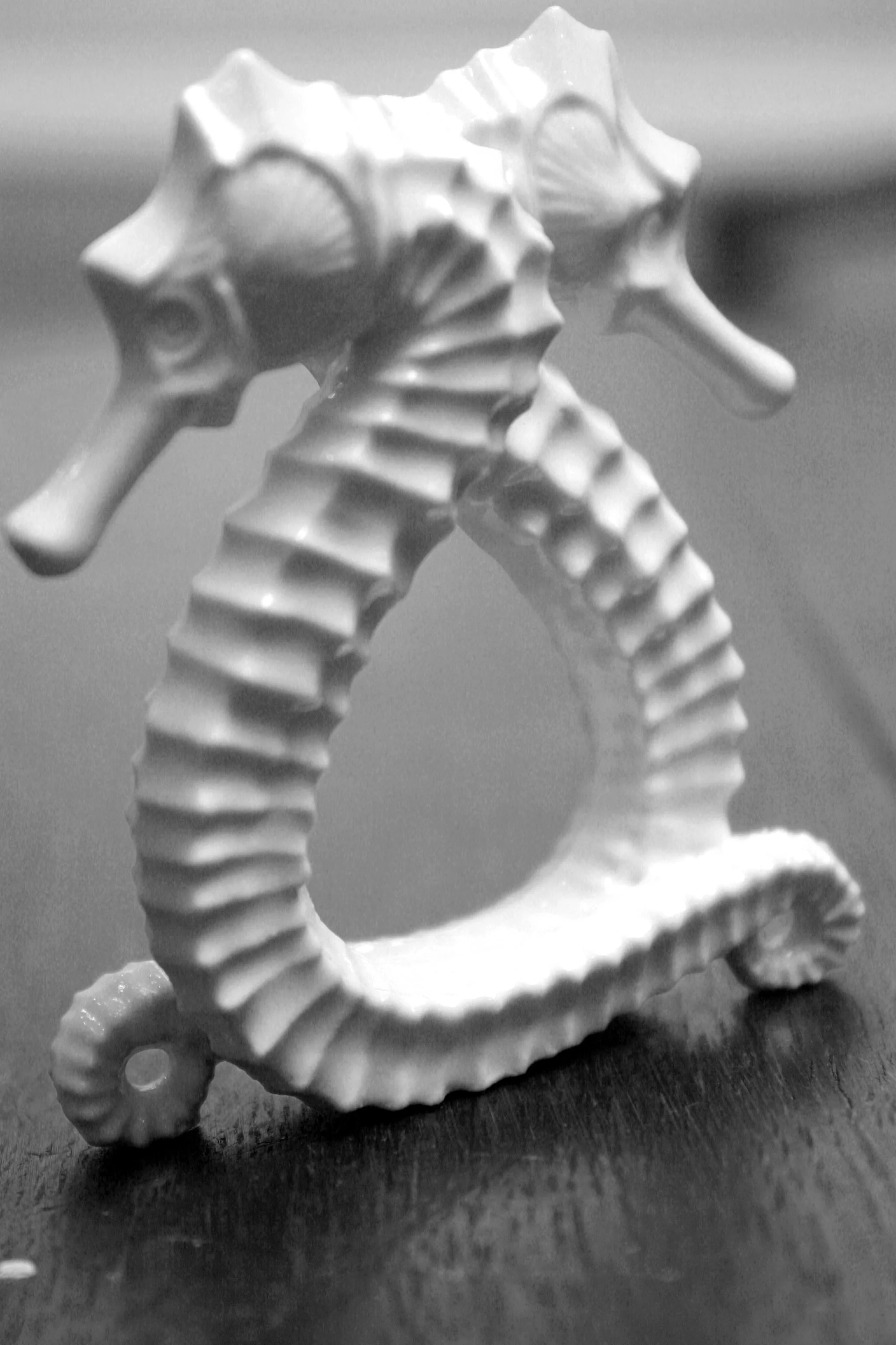 Seahorse Porcelain Napkin Rings - Set of 2 photo 6