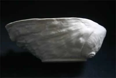 Abalone Shell Porcelain Bowl photo 3