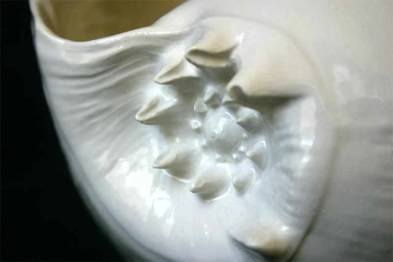 Baler Shell Porcelain Serving Bowl